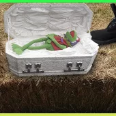Funeral For A Frog